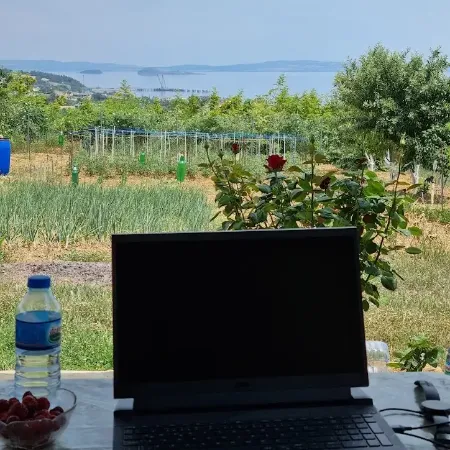 Günay Sert